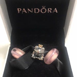 Pandora charms